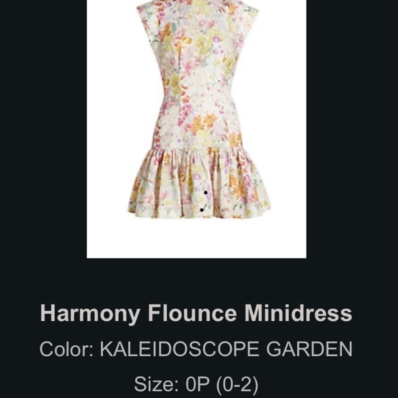 Zimmerman' Harmony's minidress. Side : US 2p . Color: Kaleidoscope Garden